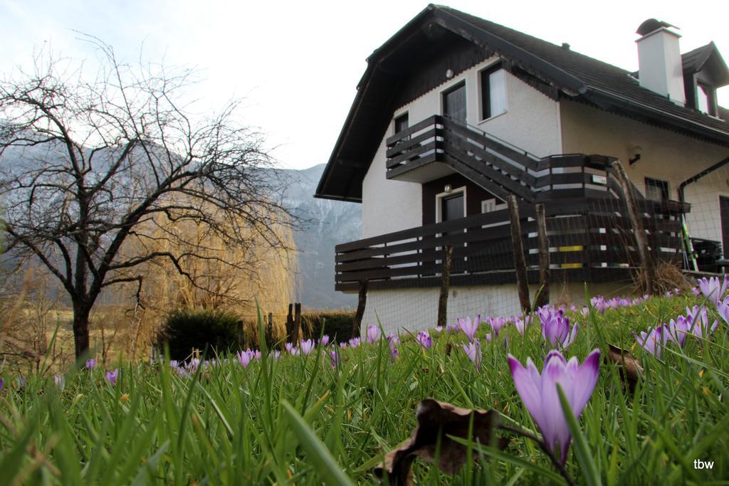 Apartments Tatjana Бовец Екстериор снимка